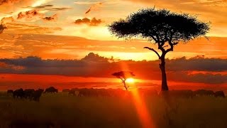 Rikkaz - Serengeti (Original Mix)