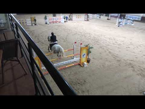 HÜSNÜ DİNÇ - ANDI, İASK ONE DAY SHOW 26.01.2019 MÜSABAKALARI 130 CM ÜÇÜNCÜSÜ