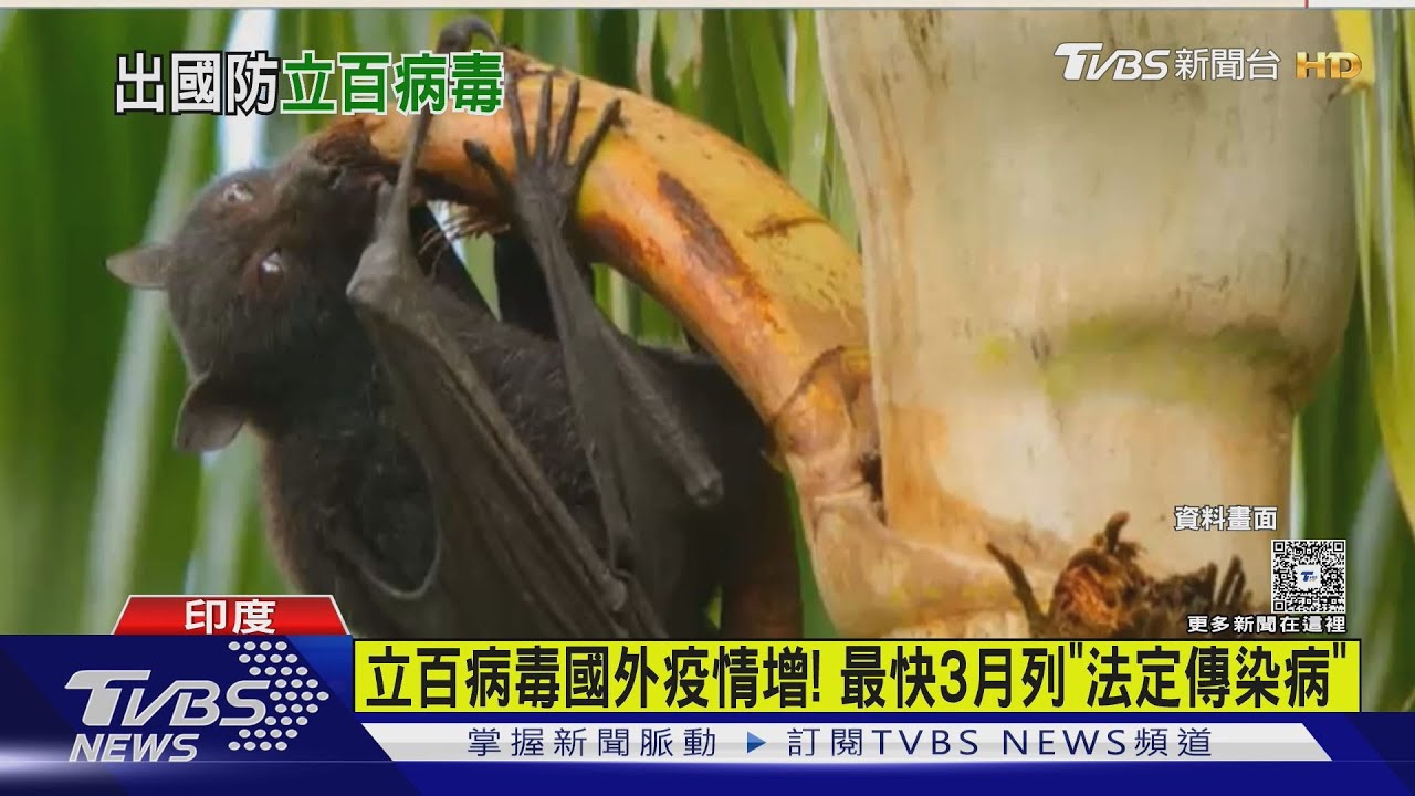印度爆「立百病毒」院內感染!致死率達75% 台灣最快3月列法傳