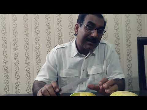 خربوزہ یا خربوزی؛ Kharbooza ya Kharboozi: Dr Sagheer Ahmad Sagheer