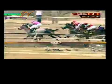 LA RINCONADA 8 CARRERA DOMINGO 13 DE ABRIL DEL 2014