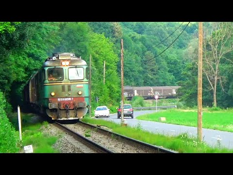 DA 60-1345-7 & CFR Marfă lângă Stâna de Vale hc (18.July.2021.)