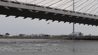 HiGHEST BRiDGE JUMP iN DELAWARE Fun Surf & Skim!