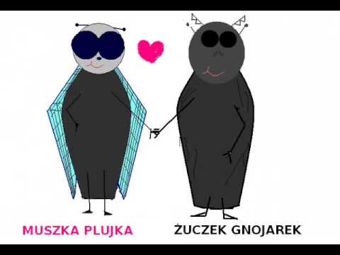 Muszka Plujka i Żuczek Gnojarek