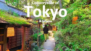 Download lagu Rural Tokyo, 1 Hour from Shinjuku | Ghibli-Like Summer | Akiruno & Tokorozawa | JAPAN TRAVEL VLOG mp3