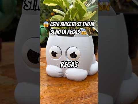🌴 Usando un mecanismo oculto inventado por los romanos para salvar mis plantas 🪴