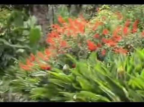 Lembah Damai - Achmad Albar By Areng Widodo