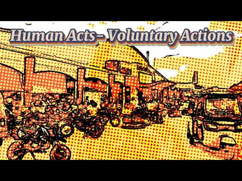 HUMAN ACTS VS ACTS OF MAN