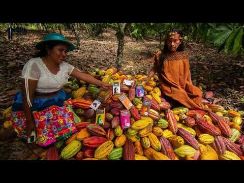 REGIÓN DE JUNÍN, PROVINCIA DE SATIPO