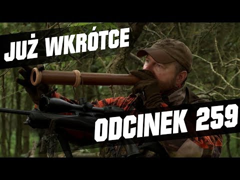 Darz Bór zapowiedź odcinka 259
