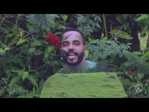 NZA 333 - Geometría Sagrada (Official Video)