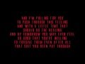 Eminem- Beautiful pain ft Sia Lyrics ( The ...