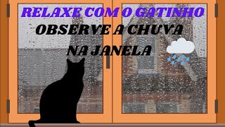 Relaxe com o gatinho na janela