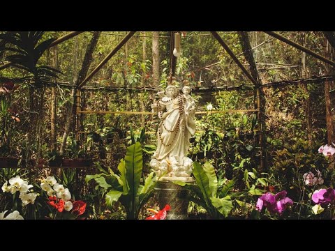 EU VI A VIRGEM MÃE - ANIVERSÁRIOS FLOR DE JAGUBE & MARCOS MOYSÉS - 25/02/23