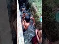 Lama Kalaya
