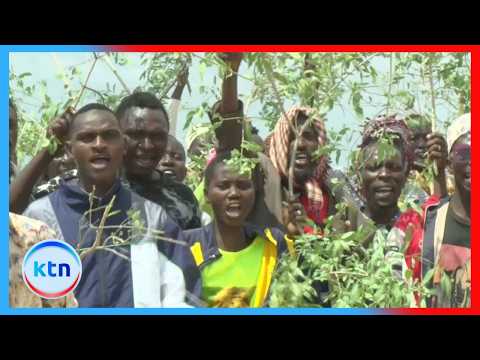 Tana River Residents Protest Sugarcane Project Over Community Land Dispute