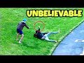 Top 10 Insane Crowd Ctaches In Cricket History 2021 Best Crowd Catches Funny Crowd Catches