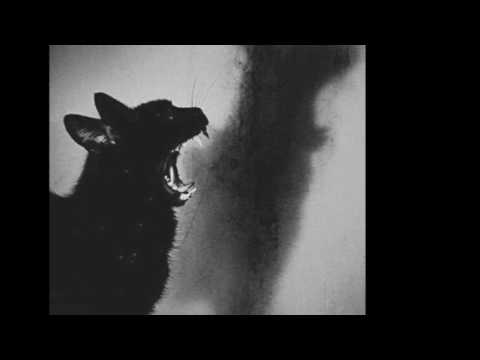 Dre ft Mishon - Comfortable  2016