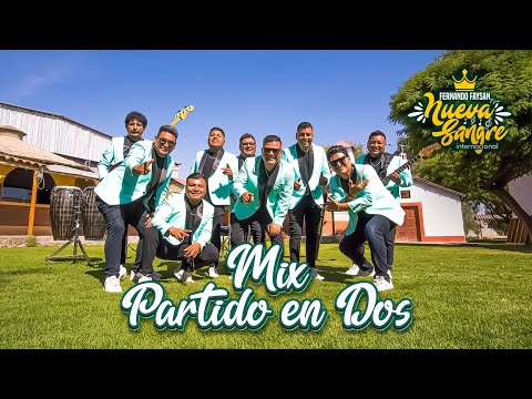 FERNANDO FAYSAN Y LA NUEVA SANGRE - MIX PARTIDO EN DOS