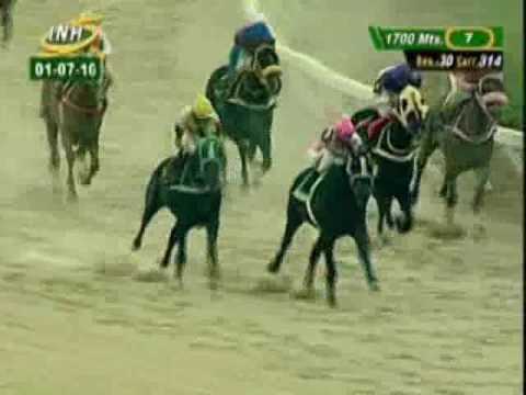 Resumen Viernes, 01 de Julio de 2016 - Valencia