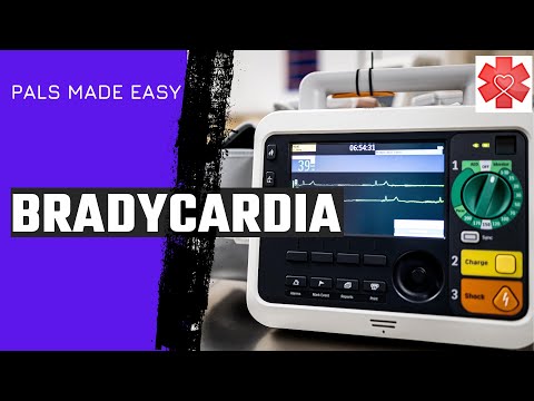 Pediatric Advanced Life Support (PALS) Bradycardia Algorithm