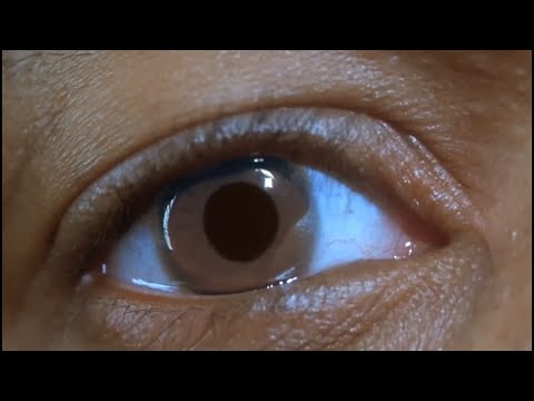 DJ PLAYA MACK - BUILD THIS SHXT