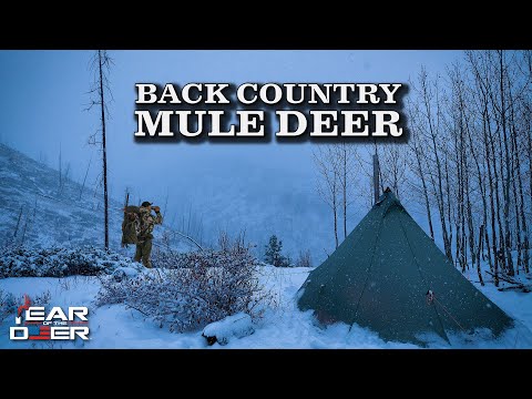 Backcountry Rifle Mule Deer Hunt | 4K FILM