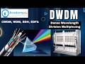 DWDM WDM SDH Optical Fiber Communication DWDM System Installation Urdu Hindi