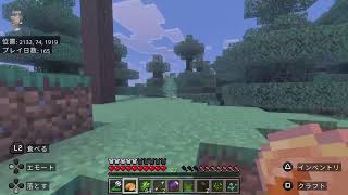 大人組ワールド　Minecraft