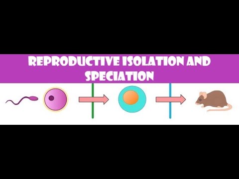 Speciation and Reproductive isolation