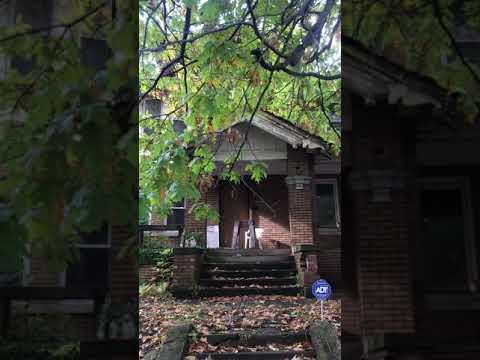 Detroit Neighborhood Tour: Islandview