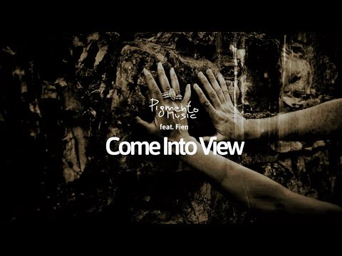 Come into View - A Visual Journey (feat. Fien)