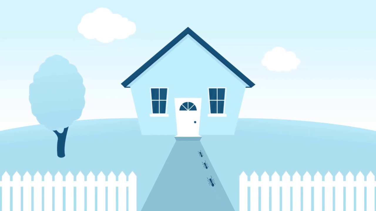 Maur utvanningsmiddel - Kvitt