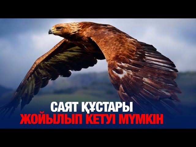 ЖАҢАЛЫҚТАР. 26.03.2025