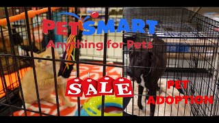 PetSmart Dog Adoption and Sale