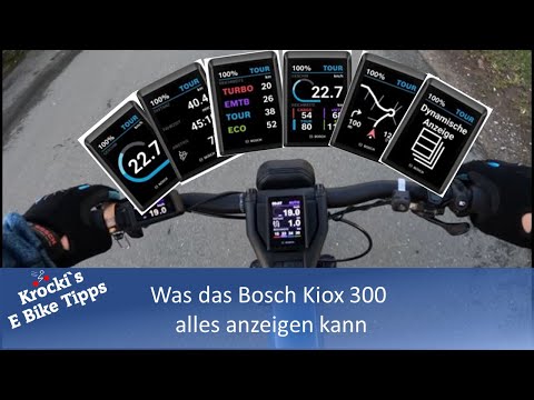 Was das Bosch Kiox 300 alles anzeigen kann.