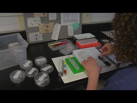 'They're very sneaky biters:' Albuquerque officials give update on mosquito season