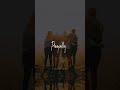 Nanu Nelo Chesukune Adham La Dorikav Anta Song Whatsapp Status Friends