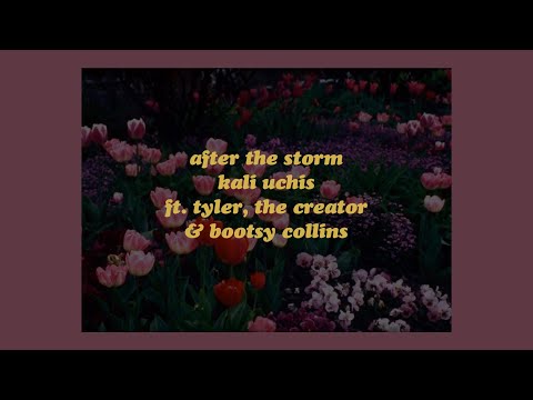 After The Storm - Kali Uchis ft. Tyler, The Creator & Bootsy Collins (lyrics)