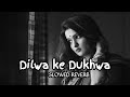 Dilwa Ke Dukhwa Jake Kekra Se Bataye Lofi Mix Slowed Reverb Pawan Singh Sad Song