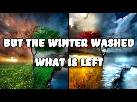 Future Islands - Seasons - Lyrics on Screen