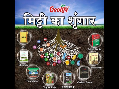 Organic Fertilizers and Manure