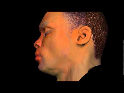 Digital Double video.