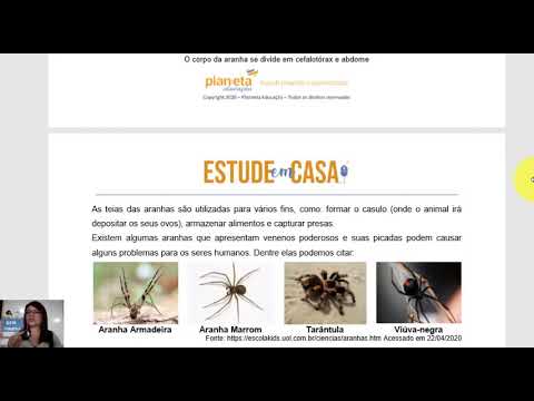 3o ano Apostila 3  Aula 7 Ciências   caracteristica e desenvolvimento dos animais   as aranhas 2