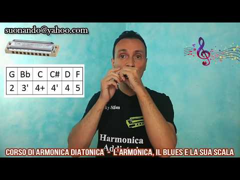 Corso di armonica a bocca- Lezione 12: L'armonica, il blues e la sua scala