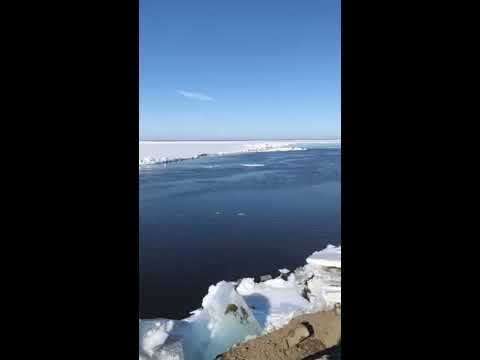 Tsunami de glace