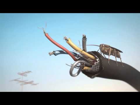 CGI Animated Shorts HD   Award Winning    Bibo    by Anton Chistiakov & Mikhail Dmitriev