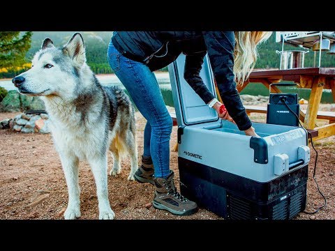 Ally coucke is an instagram. Ally Coucke : DOMETIC | Kelly, Ally & Loki The Wolfdog | Pacific Rep Works