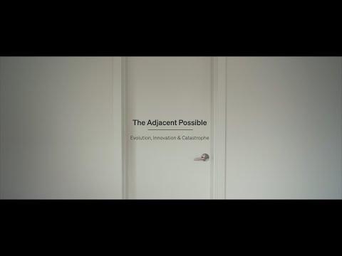 The Adjacent Possible: Evolution, Innovation, and Catastrophe