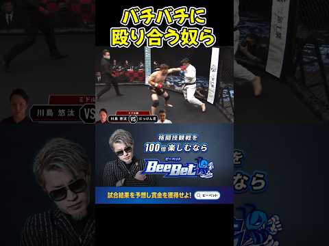 ノーガードの打ち合いする奴らがやばすぎる！見応えありすぎる！【ブレイキングダウン12/朝倉未来/BreakingDown/オーディション】#shorts